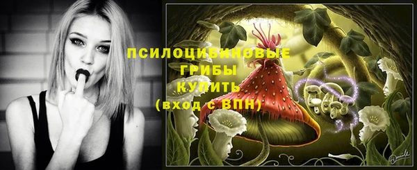 дурь Алексин