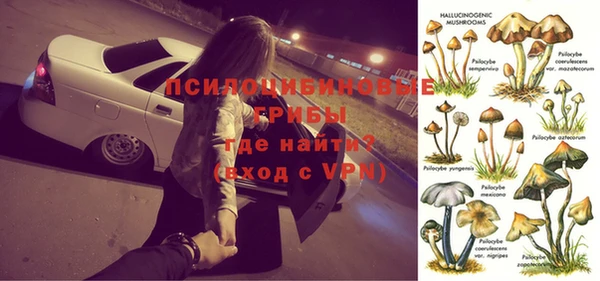 метадон Няндома