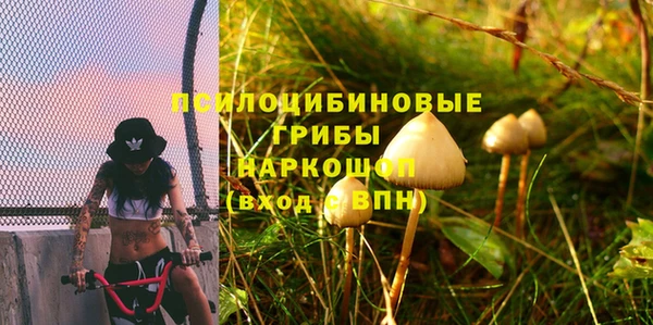 дурь Алексин